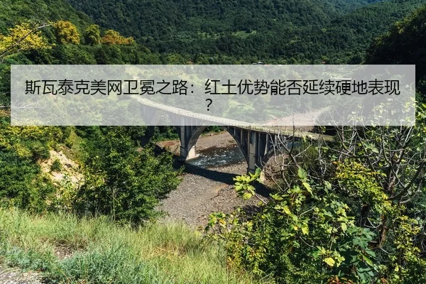 si-wa-tai-ke-mei-wang-wei-mian-zhi-lu-hong-tu-you-shi-neng-fou-yan-xu-ying-di-biao-xian-2-798.jpg