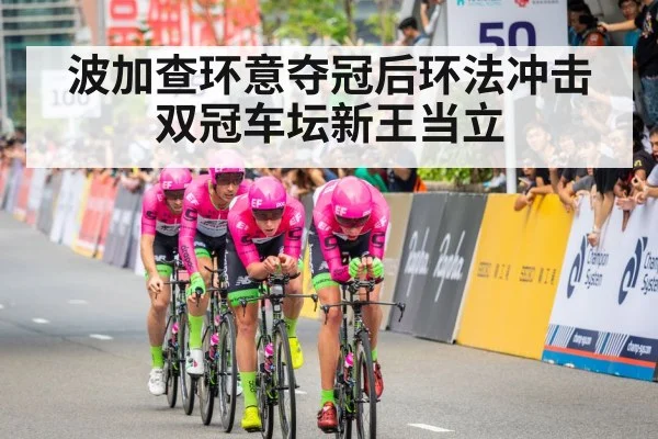 Giro d'Italia pink jersey